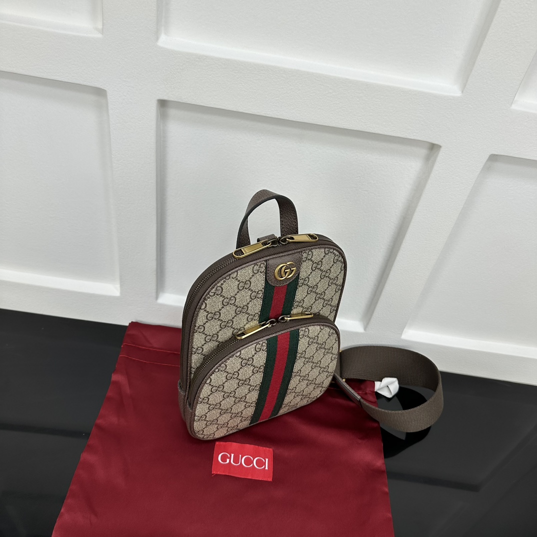 Gucci Waist Chest Packs